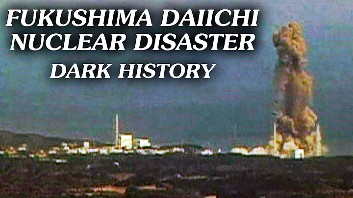 The Fukushima Nuclear Power Plant Disaster (Disaster Documentary) - DayDayNews