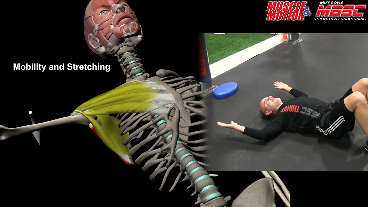 muscles of the foot Rotator Cuff Exercises
