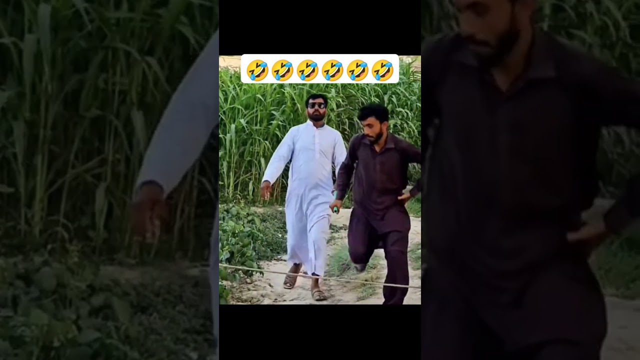 funnyvideohub.offical