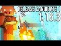 Minecraft 1.16.3 Release Candidate 1