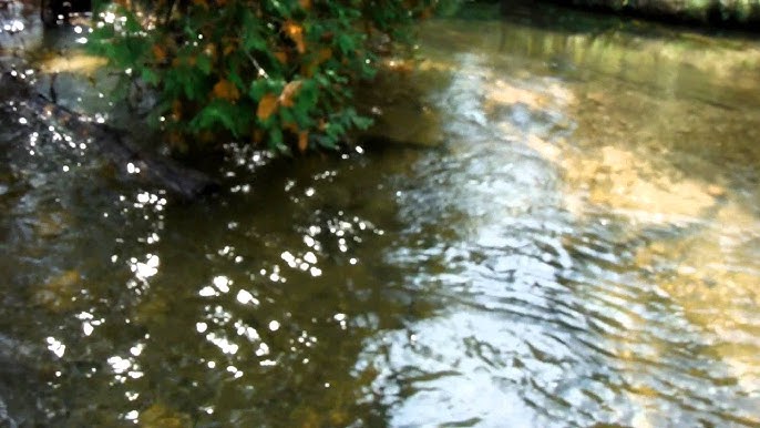 The River Boyne Drogheda Ireland Youtube