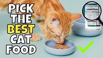 How to Read Cat Food Labels Like a Pro | 7 Easy Tips
