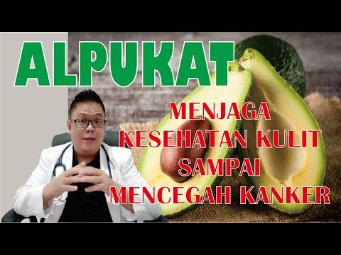 MANFAAT ALPUKAT UNTUK KESEHATAN