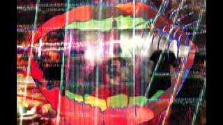 Animal Collective - Moonjock