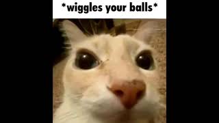 wiggles your balls