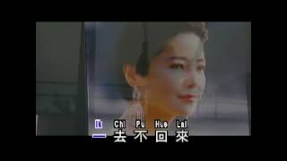 【KTV】鄧麗君 Teresa Teng - 情人的關懷 Qing Ren De Guan Huai【左伴右唱】1080p