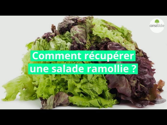 comment conserver la salade verte et ne plus gaspiller class=