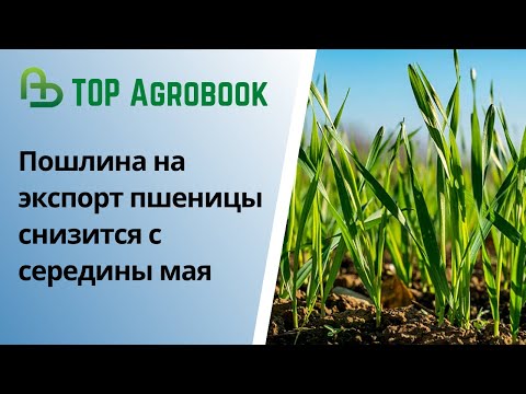 Пошлина на экспорт пшеницы снизится с середины мая. TOP Agrobook: обзор аграрных новостей
