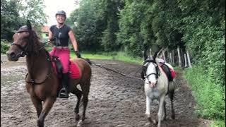 Cváláme přes kavaletu 🏇Šárka málem spadla a Jaru přišla o koně