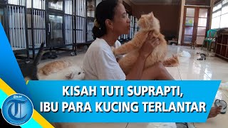 Kisah Tuti Suprapti, Ibu Para Kucing Terlantar di Bali