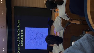 Thăm dò huyết động các dòng chảy trong tim (1)