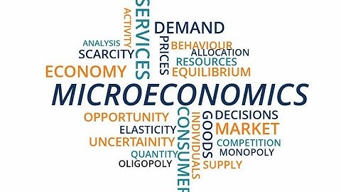 Microeconomics 2 Week 3-2: Pareto Efficiency and Social Welfare Maximization