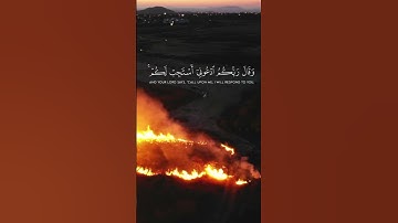 الآية 60 من سورة غافر بصوت الشيخ بلال دربالي