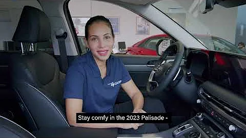 2023 Hyundai Palisade - Ergo Motion Seat