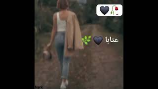 لو ينسى الترحال غربة (حالات واتس)