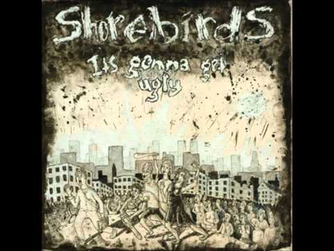 Shorebirds - The Ballad of Marvin Heemeyer