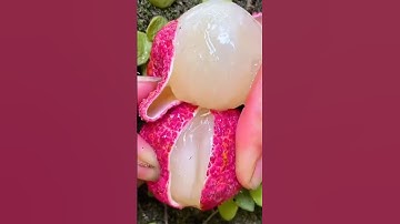 Chinese lychee are very sweet  | fruits cutting  #fruits #shorts #lychee