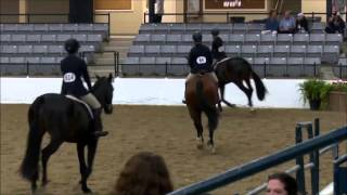 Maclay Flat Phase 2015 Nhs Region 4 Finals