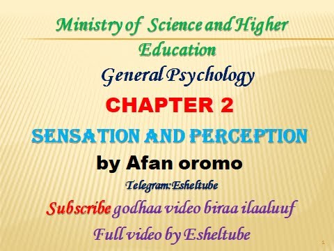 Psychology chapter 2 | Sensation and perception - YouTube
