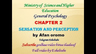 Psychology chapter 2 | Sensation and perception
