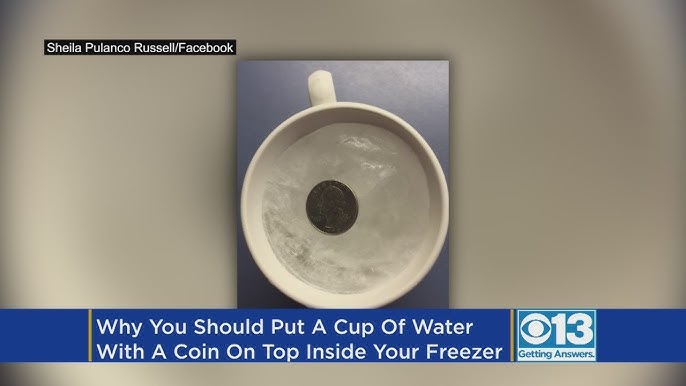Can a Quarter on a Frozen Cup of Water Actually Determine Food Safety?