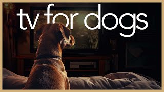 24/7 TV for Dogs! - Endless Petflix for Dogs