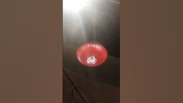 System Sensor L Series PC2RL Horn Strobe