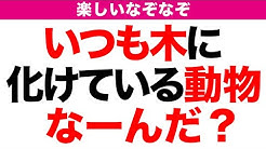 スッキリ脳トレチャンネル Youtube
