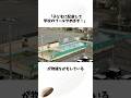 水泳の授業廃止に批判殺到#水泳#授業#事故#shortsfeed #voicevox