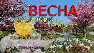 Весна в парке Галицкого 1 часть