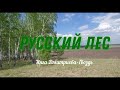 &quot;Русский лес&quot;. Авторское стихотворение Инги Дмитриевой-Гвоздь