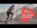 The Science of Athletic Performance and Body Systems