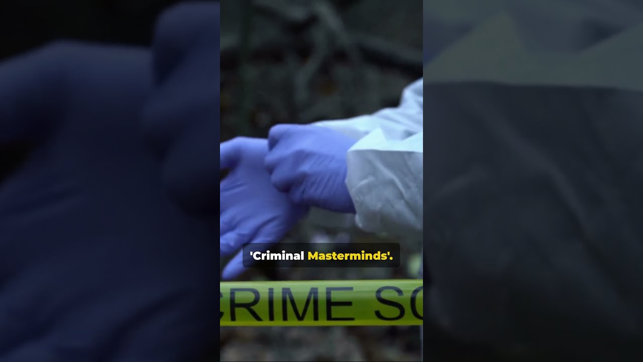 True Crime Top True Crime Docs On Netflix 2024 YouTube True Crime Top True Crime Docs On Netflix 2024 YouTube