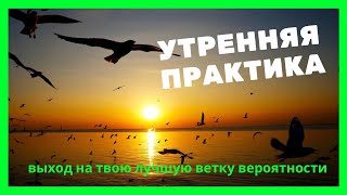 Утренняя практика. Настройка на лучшую ветку вероятности будущего дня.