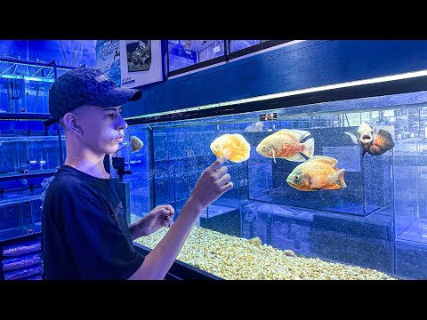 SETTING UP MY FIRST AQUARIUM