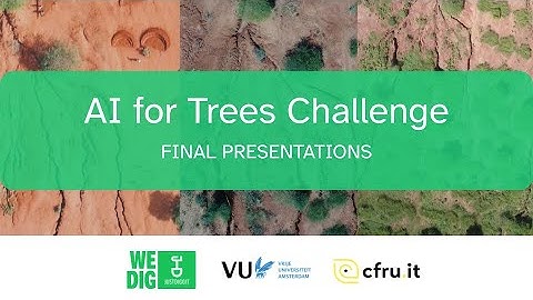 AI for Trees Final Presentations: Automated monitoring of tree growth on satellite and drone imagery