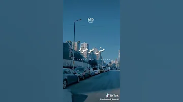 اغنيه توت والقلب شايل بيموت والقلب شايل بيموت 