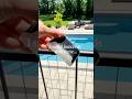 I Saved HUNDREDS With This Outdoor Lighting Hack! 💡🤯