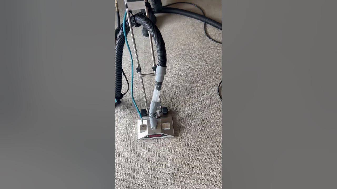 Carpet Cleaning Epic Cleaning Tauranga YouTube