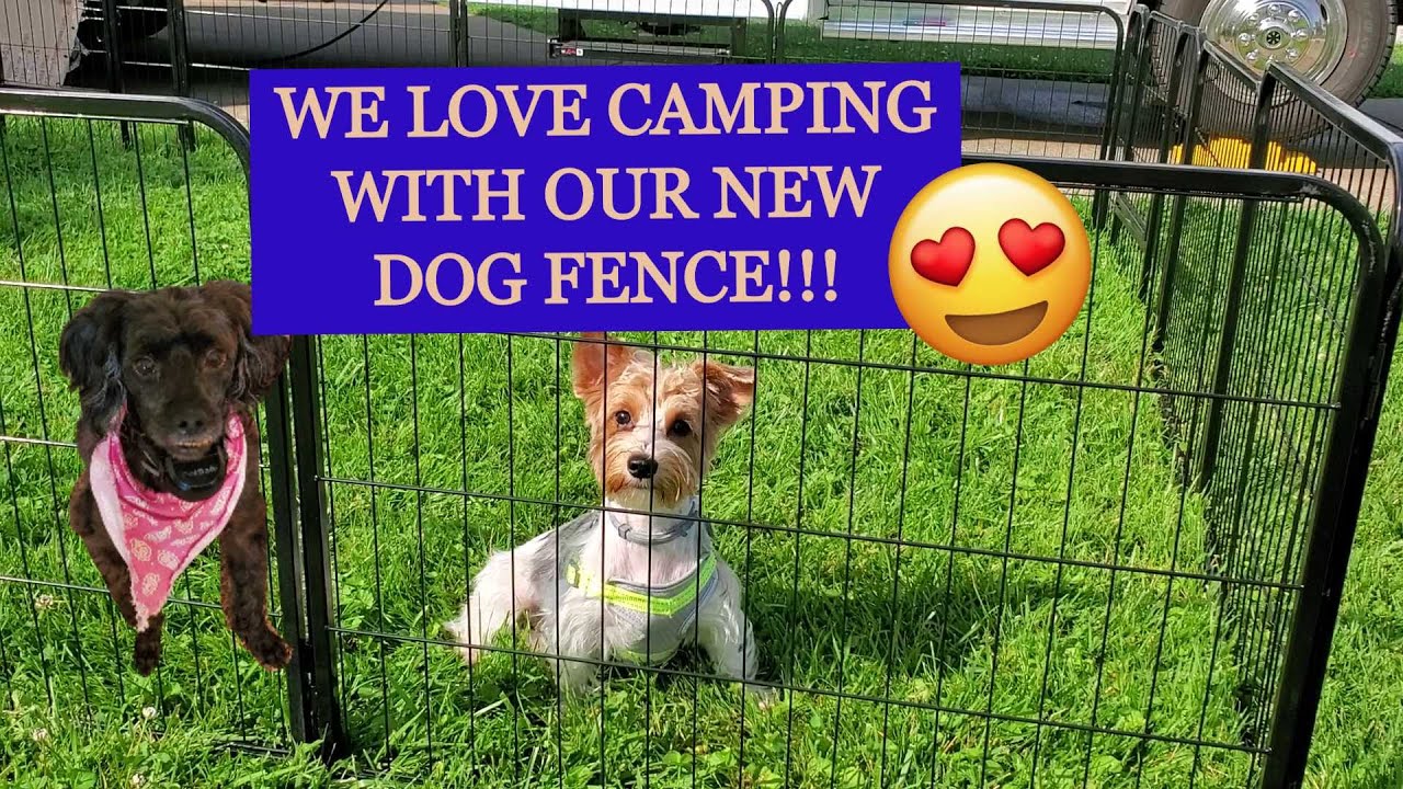 8 Best Portable Dog Fences September 2021 Reviews The Goody Pet