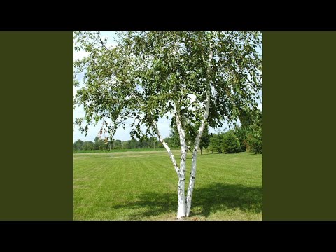 在 YouTube 上觀看「Не плачь апрель」