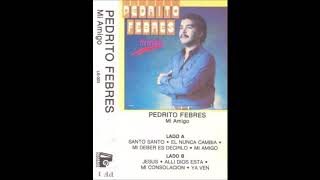 Video thumbnail of "Pedrito Febres ''Santo Santo''"