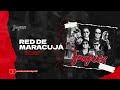 Banda Grafith - Red de Maracuja (Felipe Amorim e Kadu Martins) 2022.2