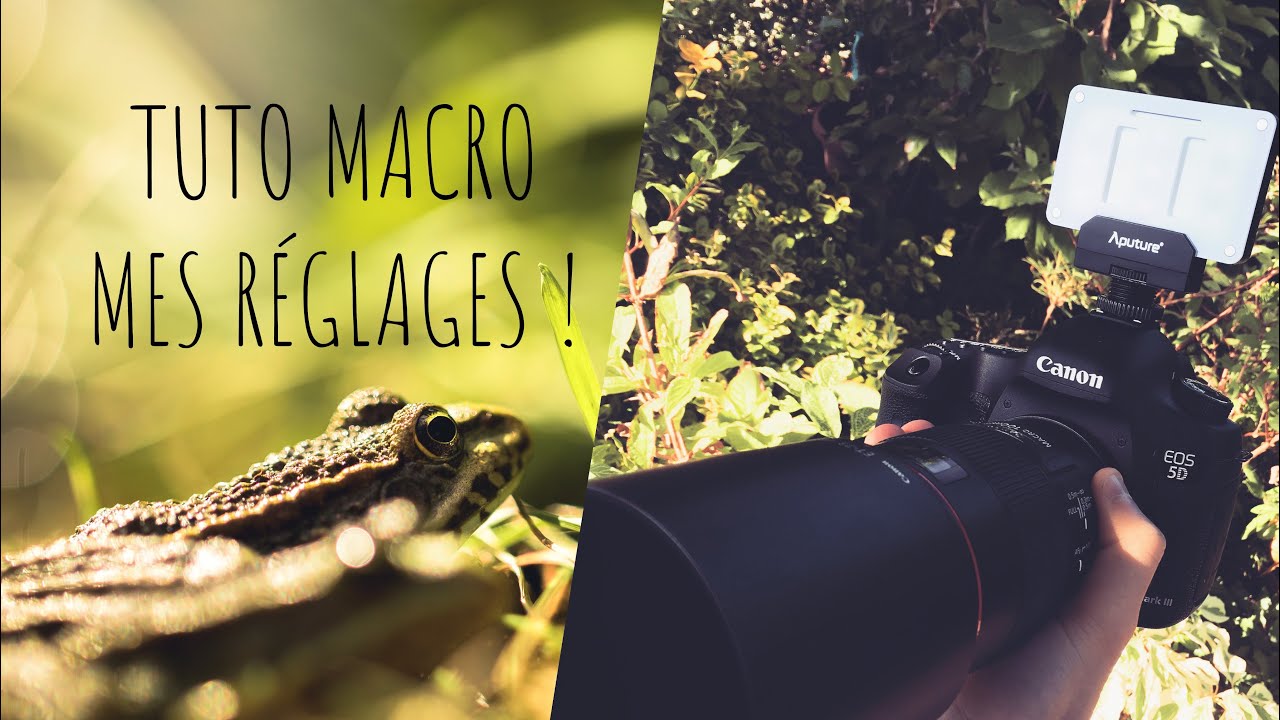 PHOTO MACRO, TUTO & ASTUCES PARTIE 3 (MES REGLAGES) ! - YouTube