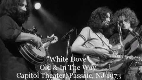 Old & In The Way - White Dove  - live 1973