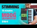 Stimming  15 minutes avec grandmre moog