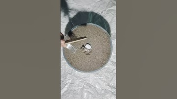 🔥 PART 31 Real Metal Casting Process with Original sound #casting #satisfying #metalcasting  #shorts