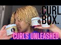 Curls Unleashed Review | December 2020 Subscription Curlbox