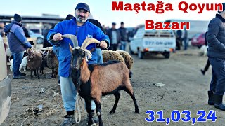 Maştağa Qoyun Bazarı 31 Mart 24 @mubarizemintv