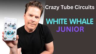 Crazy Tube Circuits - White Whale Junior - All Analog SPRING Reverb and Vintage Tremolo Pedal @ShawnTubbs
